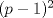 TEX: $(p-1)^{2}$