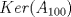 TEX: $Ker(A_{100})$