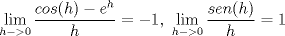 TEX: $$\lim_{h->0} \dfrac{cos(h) - e^h}{h}=-1, \  \lim_{h->0} \dfrac{sen(h)}{h}=1$$