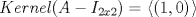 TEX: \[<br />Kernel(A - I_{2x2} ) = \left. {\left\langle {\left( {1,0} \right)} \right.} \right\rangle <br />\]<br />