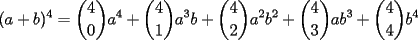 TEX: $\displaystyle (a+b)^4=\binom{4}{0}a^4+\binom{4}{1}a^3b+\binom{4}{2}a^2b^2+\binom{4}{3}ab^3+\binom{4}{4}b^4$