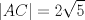 TEX: $$|AC|=2\sqrt{5}$$