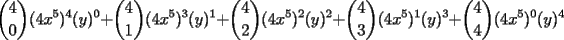 TEX:  $\displaystyle{4 \choose 0}(4x^5)^4(y)^0+\displaystyle{4 \choose 1}(4x^5)^3(y)^1+\displaystyle{4 \choose 2}(4x^5)^2(y)^2+\displaystyle{4 \choose 3}(4x^5)^1(y)^3+\displaystyle{4 \choose 4}(4x^5)^0(y)^4 $