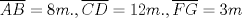 TEX: $\overline{AB}=8m., \overline{CD}=12m., \overline{FG}=3m$