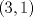 TEX: $(3,1)$